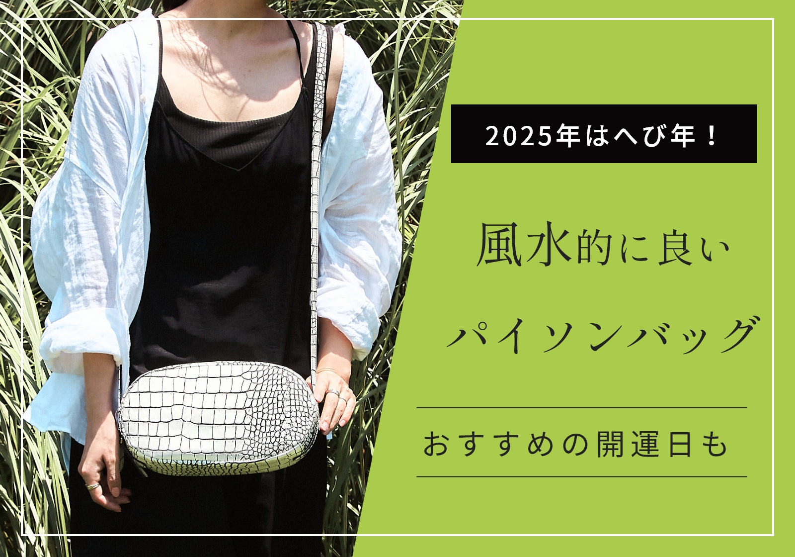 パイソン（蛇革）バッグは風水的におすすめ！開運日やへび年のプレゼントにも – VIA DOAN（ヴィア ドアン）