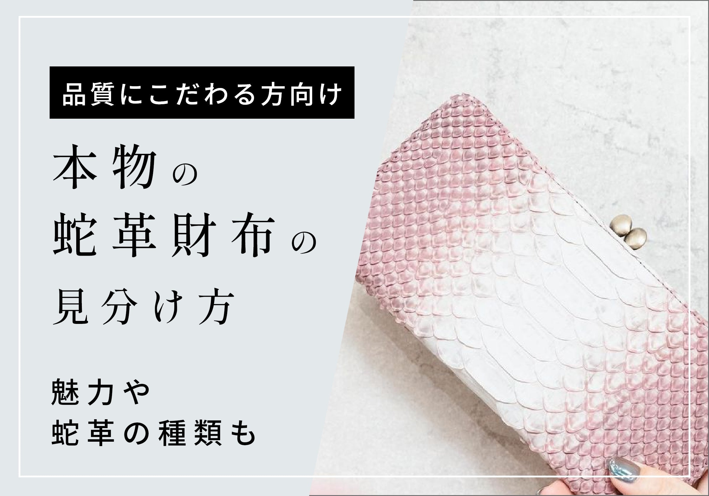 本物の蛇革財布の魅力や見分け方は？品質にこだわる人向けおすすめ3選