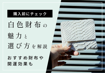 白色の財布は風水で良い？おすすめ財布や選び方、魅力を徹底解説